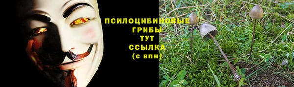 мяу мяу мука Балахна