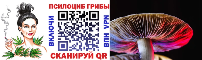 Псилоцибиновые грибы Magic Shrooms  где продают наркотики  Давлеканово 